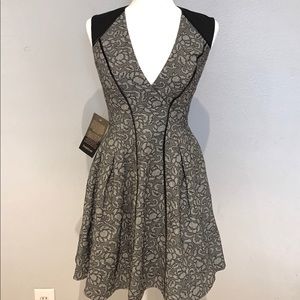 Brand New Bebe Gray Lace Dress with Open Back NWT